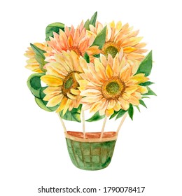 
Watercolor flower illustration with sunflowers, sunflowers bouquet on isolated white background