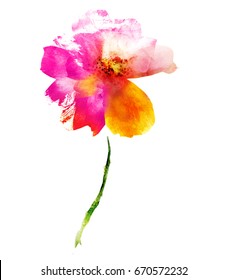 Watercolor flower on white