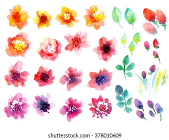 watercolor flower set. nature design elements. 