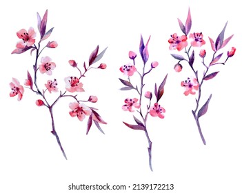 Watercolor Flowering Branch Isolted Element On Stock Illustration ...