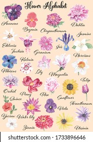 Watercolor flowers alphabet Flower for each letter english language Alphabet  Hand painted hand drawn wall art Home decor Realistic flower painting Abc poster Kids educational poster Colorful