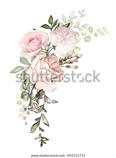 水彩花のアレンジ 花柄のイラスト ピンクのバラ 葉と芽の花の構成 結婚式やグリーティングカード用のかわいいイラスト 白い背景に花の枝 のイラスト素材