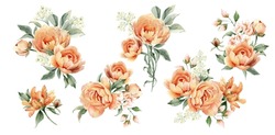 Aquarellblumen Bouquet Clipart Kunst. Pfirsichpfirsichanordnung. Blumengrafik Einzeln Auf Weißem Hintergrund. Perfekt Für Kartendesign, Hochzeitseinladung, Stoff, Innendekoration 
