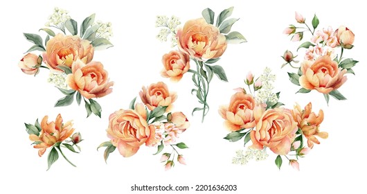 Watercolor flowers bouquet clipart. Peach peony arrangement. Floral illustration set isolated jn white background. Perfect for card design, wedding invitation, fabric, home decoration  - Powered by Shutterstock