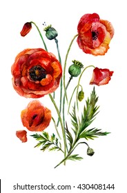 Watercolor flowers bouquet. Hand-drawn vintage red poppies isolated on white background.