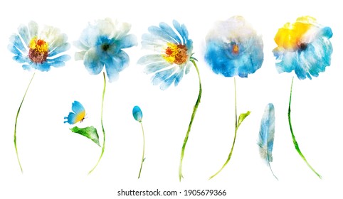 Watercolor flowers, butterfly; bud and feather isolated on white background. Set