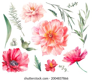 Watercolor Flowers Clipart. Peony, Poppy, Roses Isolated On White Background. Floral Objects Set