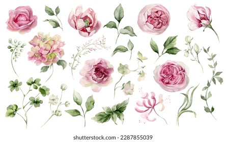 Watercolor flowers clipart. Pink peony, rose, hydrangea. Floral elements for card, invitation, decoration. Illustration isolated on transparent background