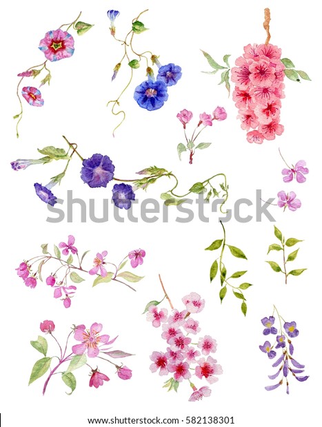 水彩花水彩花朵收集不同的设计在白色 手绘插画 隔离套装 库存插图