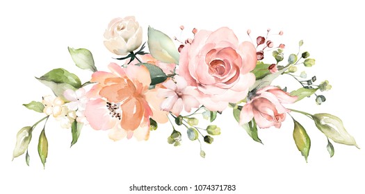  watercolor flowers. floral illustration, Leaf and buds. Botanic composition for wedding or greeting card.  branch of flowers - abstraction pink roses