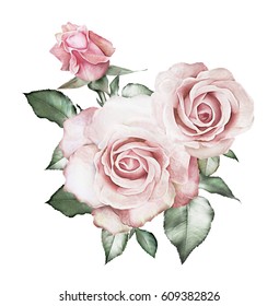 watercolor flowers. floral illustration - pink rose. branch of flowers isolated on white background. Leaf and buds. Cute composition for wedding or  greeting card