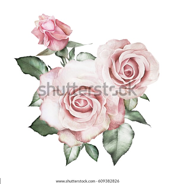 水彩花 花柄のイラスト ピンクのバラ 白い背景に花の枝 葉と芽 結婚式やグリーティングカード用のかわいい作文 のイラスト素材
