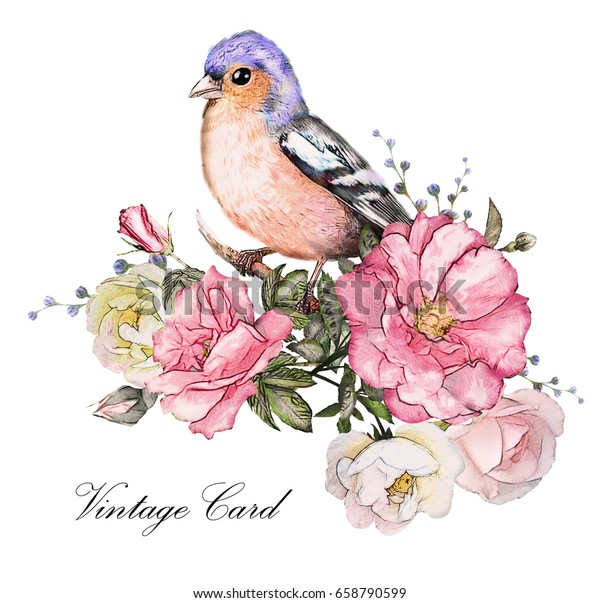 水彩花 花柄のイラスト ピンクのバラ 白い背景に花の枝 葉と芽 鳥とビンテージのかわいい構図 フィンチ のイラスト素材