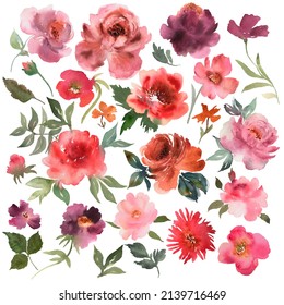Watercolor Flowers hand drawn colorful beautiful floral set with yellow pink red blossom plants for cards prints and invitation. Watercolor texture. 