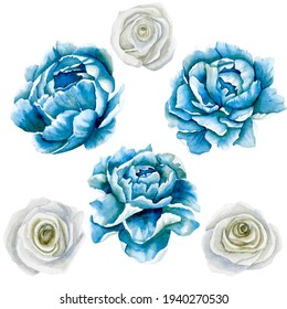 
Watercolor flowers, hand painted blue peonies and roses. Flowers on a white background, dusty blue peonies and white roses. Set for wedding decorations, decoration, cards, prints