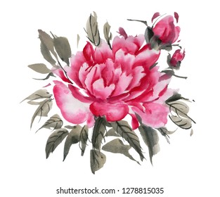 Hand Drawn Chinese Peony Flower Vector Stock Vector (Royalty Free ...