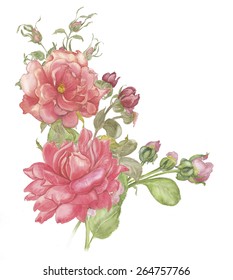 Pink White Vintage Roses Flowers Isolated Stock Illustration 586605773 ...