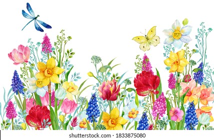 watercolor flowers for postcards Daffodils tulips and dragonfly ,Watercolor hand painting