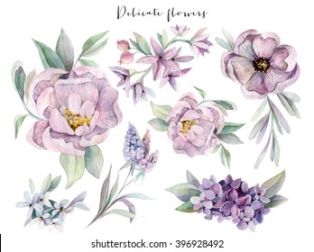 Watercolor flowers set. Beautiful spring and summer collection 