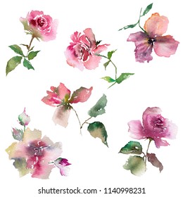 Watercolor flowers set. Floral decorative elements. Delicate drawing roses. Floral greeting card. Watercolor pink roses. Vintage flowers.