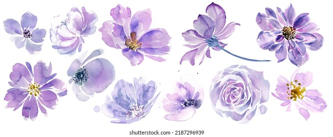 Watercolor flowers set. Hand-painted abstract botanical illustrations bundle. Isolated on white flowers for wedding stationery, card printing, banners