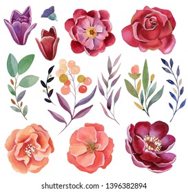 Watercolor Hand Painted Illustration Roses Can Stock Illustration 510050452