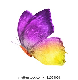 Watercolor Flying Butterfly Stock Illustration Shutterstock