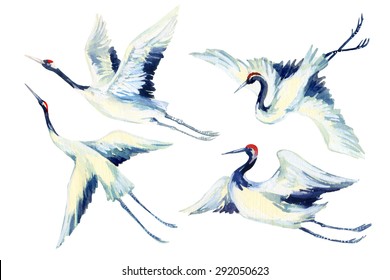Watercolor Flying Crane Bird Set. Hand Painted Traditional Illustration