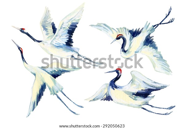 Watercolor flying crane bird set. Hand\
painted traditional\
illustration