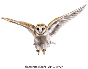 6,959 Owl Feather Texture Images, Stock Photos & Vectors | Shutterstock