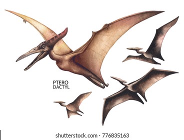 Watercolor flying pterodactyls. Hand painted dinosaurs isolated on white background. Predator animals of the prehistoric period