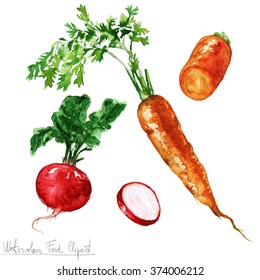 Watercolor Food Clipart - Carrot And Radish