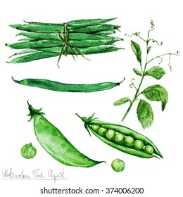 Watercolor Food Clipart - Green Beans And Peas
