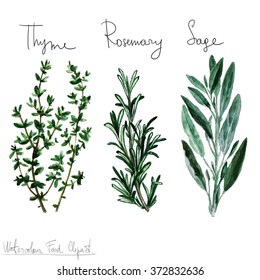 Watercolor Food Clipart - Herbs