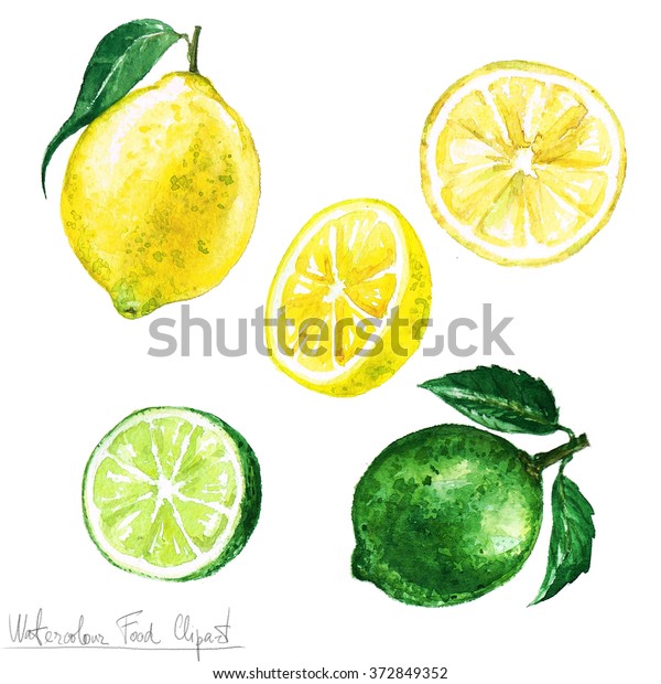 水彩食品クリップアート レモンとライム のイラスト素材