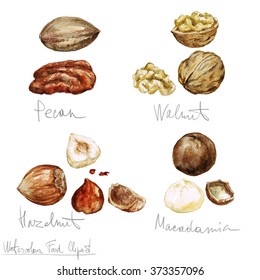 Watercolor Food Clipart - Nuts