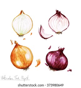 Watercolor Food Clipart - Onion
