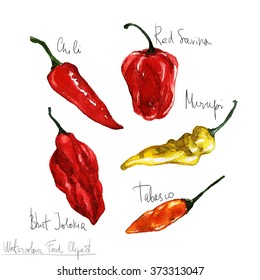 Watercolor Food Clipart - Peppers