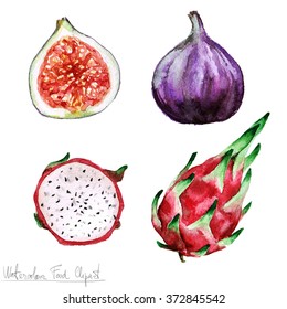 Watercolor Food Clipart - Pitaya And Fig