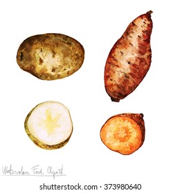 Watercolor Food Clipart - Potato