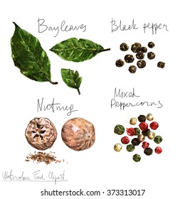 Watercolor Food Clipart - Spices