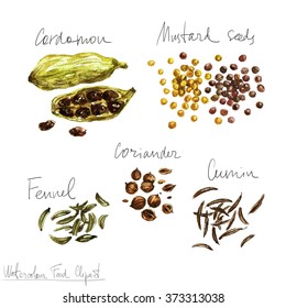 Watercolor Food Clipart - Spices