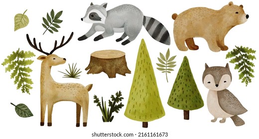 Watercolor forest animal clipart. Cute woodland characters. Bear, raccoon, deer, owl.