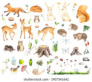 Watercolor Forest Animals Elements With Cute Little Deers, Foxes, Squirrel, Hedgehogs, Owls, Bear, Hares, Stumps, Mushrooms, Flowers, Twigs, Grass, Butterfly And Dragonfly