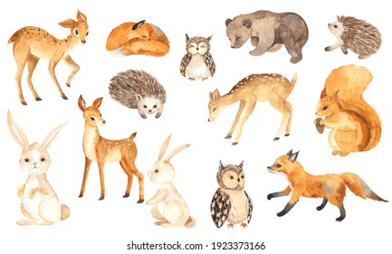 Watercolor Forest Animals Elements With Cute Little Deers, Foxes, Squirrel, Hedgehogs, Owls, Bear, Hares