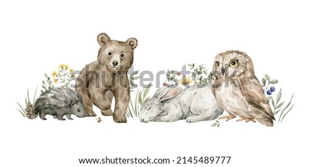 Watercolor forest baby animals. Bear, hare, owl, porcupine, flowers. Summer woodland, nature scene, valley. Wildlife creatures