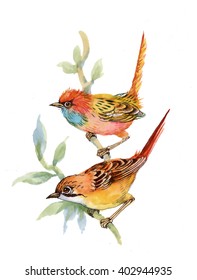 Watercolor forest birds on twig