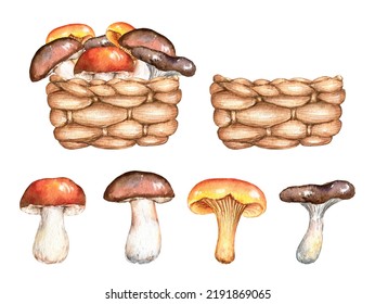 Watercolor Forest Mushrooms, Wicker Basket Clipart Set. Hand Painted Illustration Isolated On White Background. Fall Kids Design For Poster, Print, Postcard