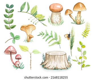 Watercolor Forest Set. Woodland Collection Of Leaves, Mushrooms , Fern, Tree Stump.