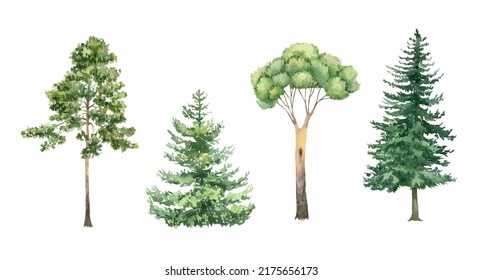 10,007 Woodlands Clipart Images, Stock Photos & Vectors | Shutterstock